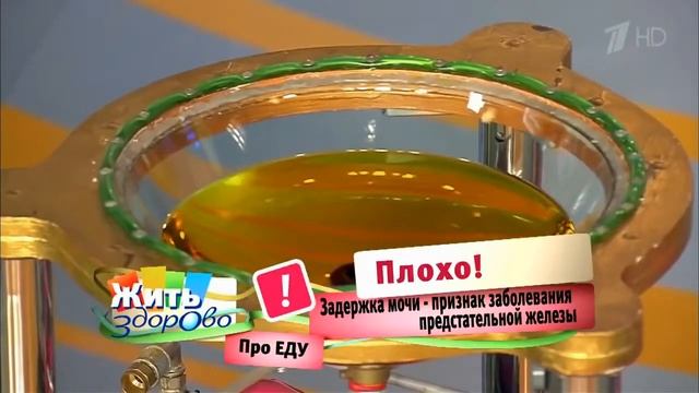 55х55 Жить здорово смотреть онлайн