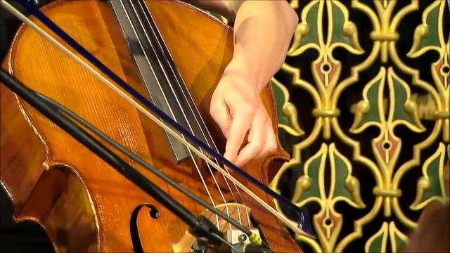 Světlo porozumění 2014 - Tara Fuki & Vertigo смотреть онлайн