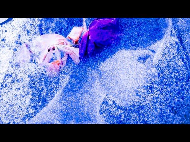 Николай Заболоцкий "Посредине панели я заметил у ног в лепестках акварели..." Читает Павел Морозов смотреть онлайн