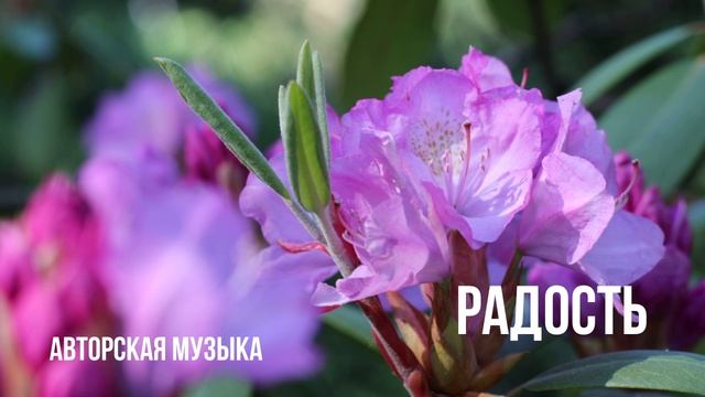 Авторская музыка: Радость.