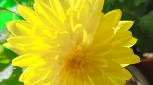 Влог. интервью из бункера😂