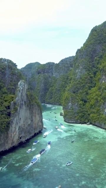 Picture perfect view of Phi Phi Islands in #Phuket #Thailand #shorts #travel #travelvlog #beach