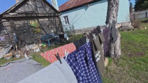 Гиблое дело.. Счастливые животные в маленькой деревне России