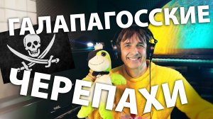 А черепахи с островов Галапагосских