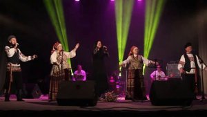 Любовь Орлова и Ансамбль "Цветень" - Все кумушки пьють (ДЖЕМ-СЕЙШЕН)