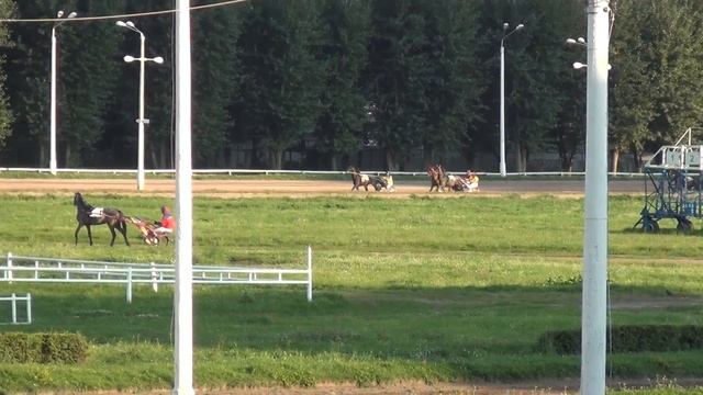 Московский ипподром. Бега. 10.08.16. Заезд 1(486) смотреть онлайн