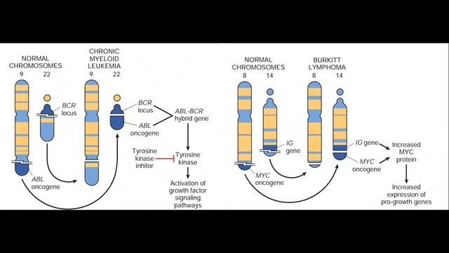 Molecular Pathology Lab Techniques | Session 4