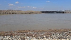 река Томь , уровень воды 5,5 м. 16-04-2025