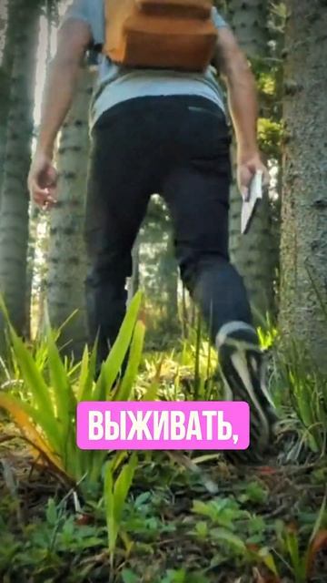 Просто так не создаются болезни #психосоматика #здоровье #гормоны #женскоездоровье