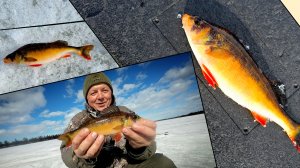 ОЧЕНЬ РЕДКАЯ РЫБА