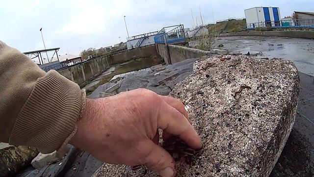 2 этап нашего верми дела 1981-1983 годы 10.10.2014 1 смотреть онлайн