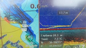 Саратовское вдхр. 16.04.25. Судак в сонаре