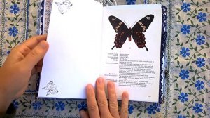Junk Journal Butterflies/ Altered book/Журнал Бабочки