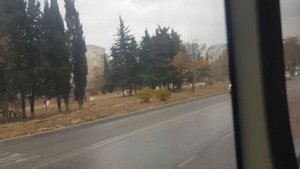 Севастопольский автобус на НЕФАЗ 5299-40-51 б.Камышовая-ул.Колобова 17.11.2022г. 🇷🇺