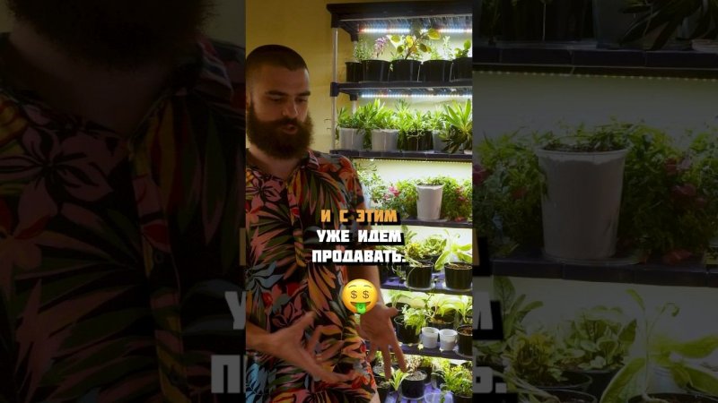 Хотели бы или уже пробовали что-нибудь вырастить? Поделитесь своим опытом⬇️