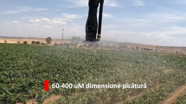 Demonstrație drona agricolă XAG P100 PRO, Viță de vie, Niculițel, Tulcea 🍇 смотреть онлайн