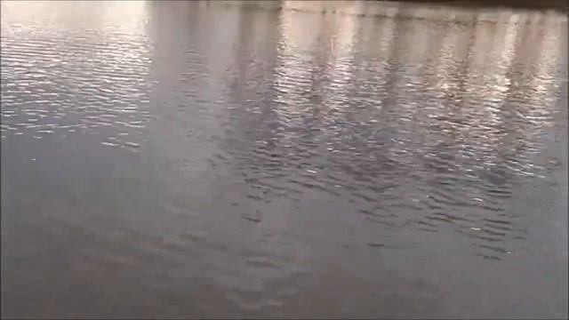 #Lilindra Германия: Мартовские лебеди смотреть онлайн