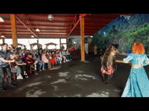 праздник лаг ба-Омер -2023/5783