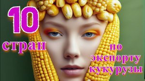 Кукуруза: ТОП 10 стран по экспорту кукурузы на зерно