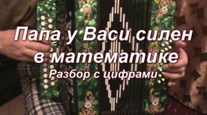 Папа у Васи силен в математике.(064 гармонь с цифрами)