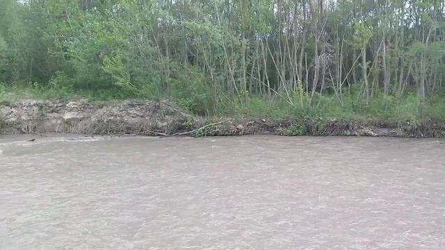 РЕЛАКС☘️🌾🏞 Река Подкумок#Пятигорск смотреть онлайн