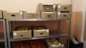 Школьная столовая изнутри