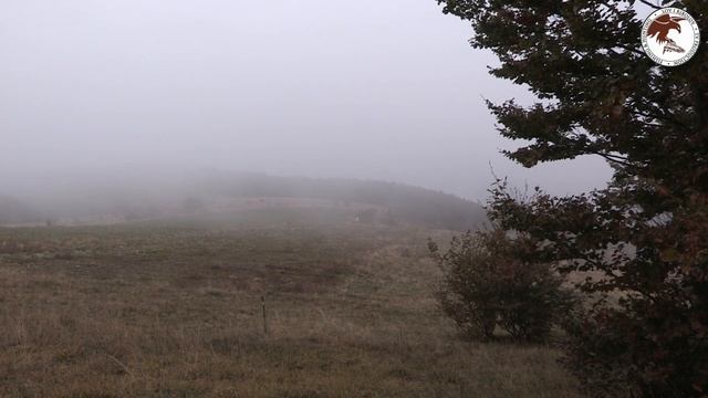 Hunting Serbia - Wild boar hunting | Lov divlje svinje Ivanjica - LU Čemernica | Caccia ai cinghial