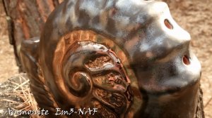 Ocarina "Ammonite" Em3-NAF