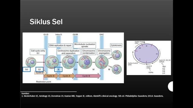 Onkologi bagi perawat part 1 смотреть онлайн