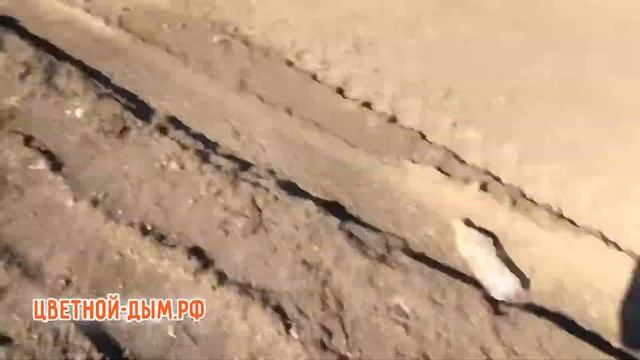 Петрады Чёрная Вдова (Корсар) смотреть онлайн