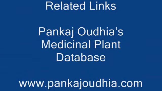 Octonary Ingredients of Sida cordifolia Formulations: Pankaj Oudhia's Medicinal Plant Database смотреть онлайн