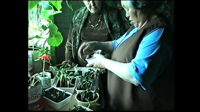 1999 сыл. О5уруот ууннэрээччилэрин суБэлэрэ.