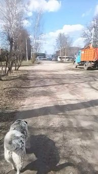 VID_20250416_132242.mp4