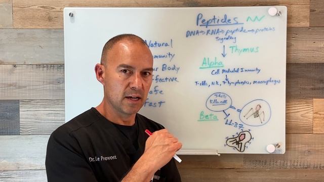 Learn More About Peptides смотреть онлайн