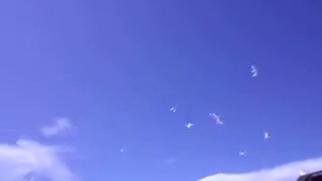 005 смотреть онлайн