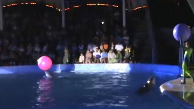 В дельфинарии Коктебель 4 смотреть онлайн