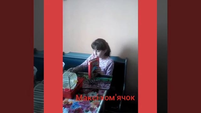 Як доглядати за хом'ячком? смотреть онлайн