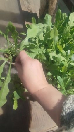По просьбам покупателей: Статица к продажам готова!