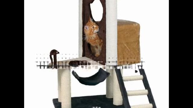 домик для кошки на улице смотреть онлайн