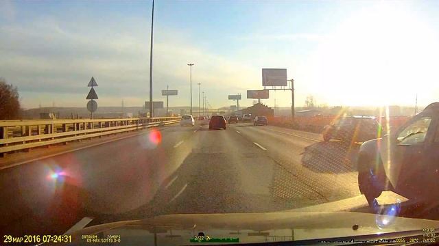 стадо баранов по полосе для общественного транспорта. смотреть онлайн