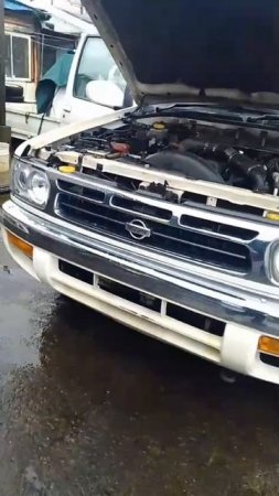 5395.mp4