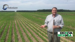 Технология NO-till. прямой посев. Качество посева сои аргентинской сеялкой по стерне.