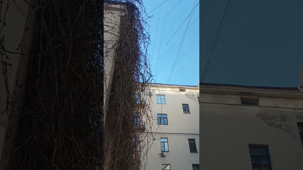 Нашли лифт? Петербург. Детали