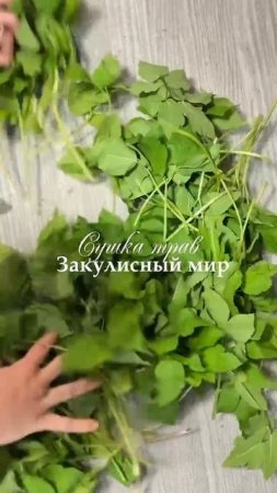 Бережная сушка дикоросов. Княгинюшка #дикоросы #трава #здоровье #экологично