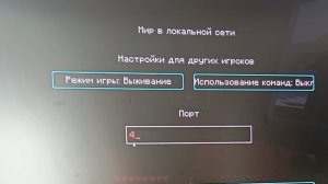 Гайд как поиграть с другом по сети
@TimchikPlays