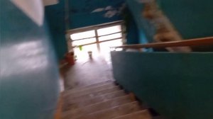 27*3/10 22 #жизньнасевере ПИРОГ С КАПУСТОЙ. НЕ ЗНАЕШЬ, ЧЕМ ОТРАВЯТ. БОРЮСЬ С ЗАСОРОМ #архангельск