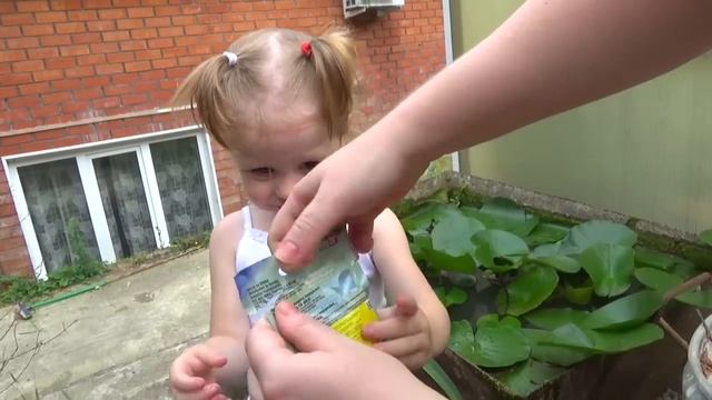 Лайк Настя Влог  Волшебные очки - ИГРА КВЕСТ от Свинки Пеппы   Развлечение для детей