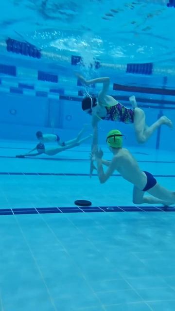 ТРЕНИРОВКА МОРСКИХ КОТИКОВ. Попробуй👌🏻 #бассейн #тренировка #упражнения #подводой смотреть онлайн
