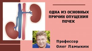 Одна из основных причин опущения почек. Проф. Ламыкин О.Д.