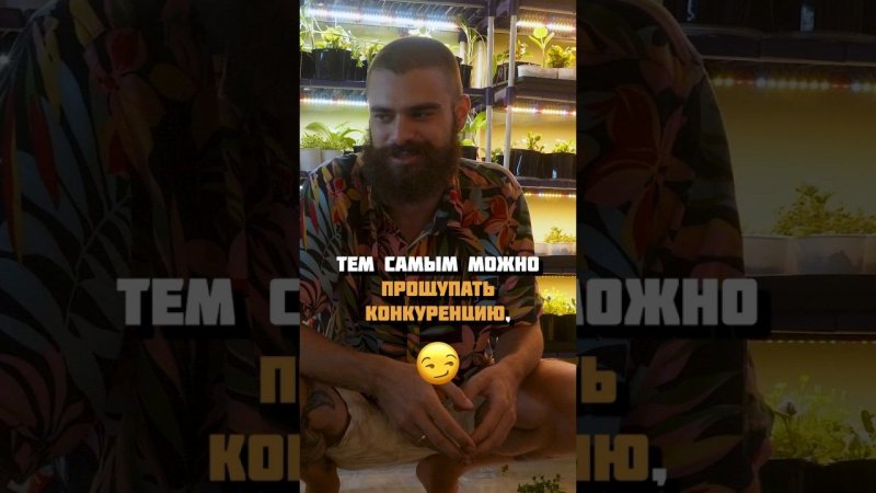 Какую цену ставить на зелень? #микрозелень #бизнес #daogreen